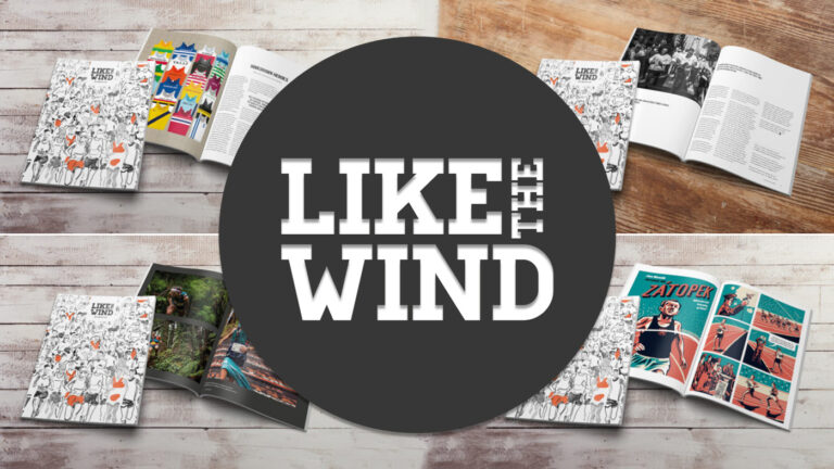 Like The Wind