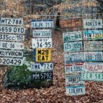 Number plates of the runners at the start of the 2023 Barkley Marathons photo credit: Davidmillerphotography_ on Instagram