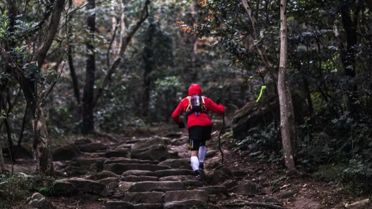Translantau by UTMB