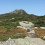 A section of the Long Trail in the US state of Vermont