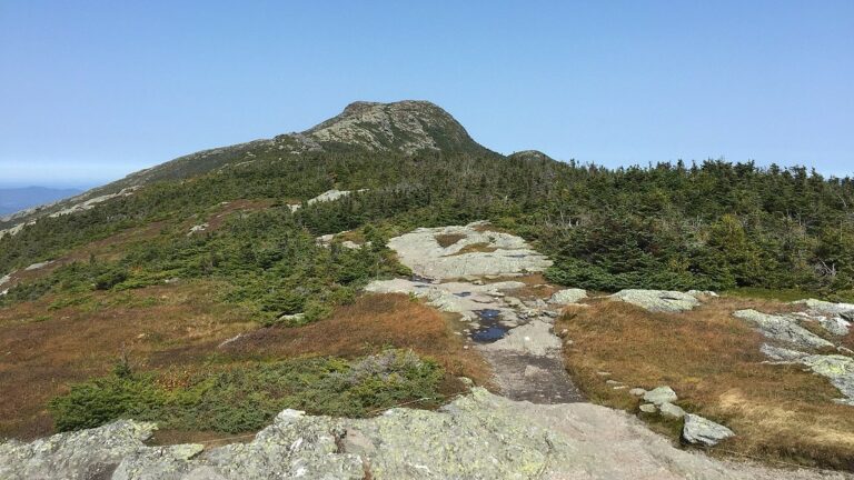 A section of the Long Trail in the US state of Vermont